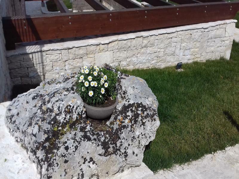 Agriturismo Nonna Rosa Matera Exterior photo
